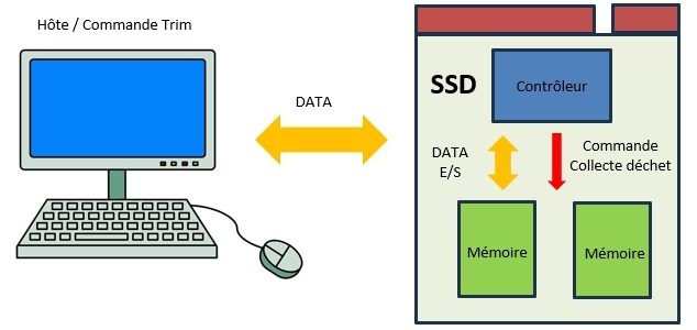 L'effet de la fonction trim après une commande de formatage sur un disque SSD